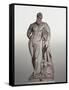 Marble Statue of Farnese Hercules-null-Framed Stretched Canvas