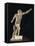 Marble Statue of Gladiator-null-Framed Stretched Canvas