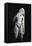 Marble Statue of God Pan, from Tyrnovo, Moldova-null-Framed Stretched Canvas