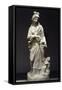 Marble Statue of Hygeia, Goddess of Health-null-Framed Stretched Canvas