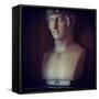Marble Statue of Male Figure-Tim Kahane-Framed Stretched Canvas