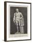 Marble Statue of William Wilberforce, at the Townhall, Hull-null-Framed Giclee Print