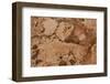 Marble-K.B. White-Framed Photographic Print