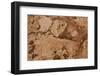 Marble-K.B. White-Framed Photographic Print