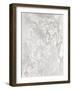 Marbled 2 with Overlay-Denise Brown-Framed Art Print