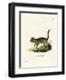 Marbled Cat-null-Framed Giclee Print