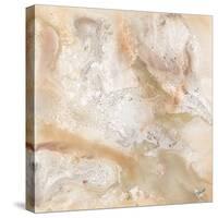 Marbled Expression I-Jason Jarava-Stretched Canvas