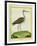 Marbled Godwit-Georges-Louis Buffon-Framed Giclee Print