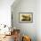 Marbled Godwits-John James Audubon-Framed Giclee Print displayed on a wall