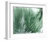 Marbled Malachite II-Studio W-Framed Art Print