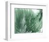 Marbled Malachite II-Studio W-Framed Art Print