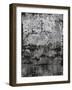 Marbled Wall-Alexys Henry-Framed Giclee Print