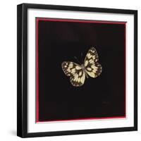 Marbled White Butterfly, 2000-Amelia Kleiser-Framed Giclee Print