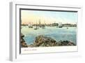 White Frame