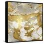 Marbleized in Gold and Silver-Danielle Carson-Framed Stretched Canvas