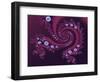 Marbleized Red-Fractalicious-Framed Giclee Print