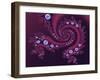 Marbleized Red-Fractalicious-Framed Giclee Print