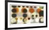 Marbles-James Burghardt-Framed Giclee Print