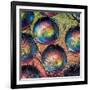 Marbles-Ursula Abresch-Framed Photographic Print