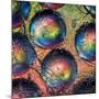 Marbles-Ursula Abresch-Mounted Photographic Print