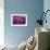 Marbles-Josh Adamski-Framed Photographic Print displayed on a wall
