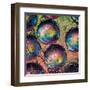 Marbles-Ursula Abresch-Framed Premium Photographic Print