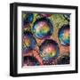 Marbles-Ursula Abresch-Framed Premium Photographic Print