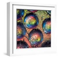 Marbles-Ursula Abresch-Framed Premium Photographic Print