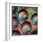 Marbles-Ursula Abresch-Framed Premium Photographic Print