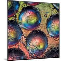 Marbles-Ursula Abresch-Mounted Premium Photographic Print