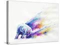 Stretched Canvas