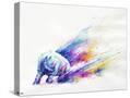 Stretched Canvas
