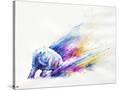 Stretched Canvas
