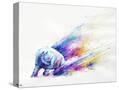 Stretched Canvas