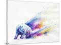 Stretched Canvas