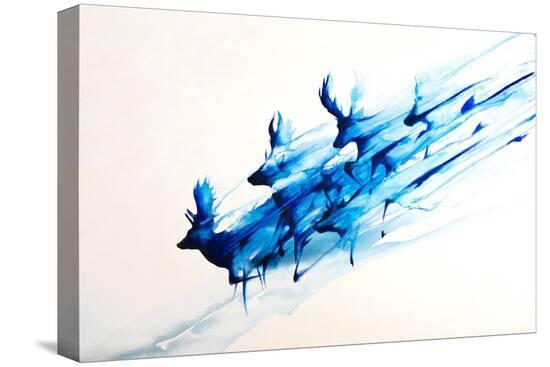 Stretched Canvas Print, , large
