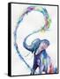Canvas Black
