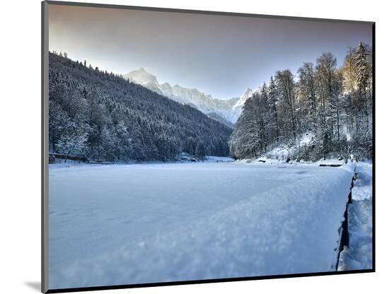 Photographic Print, , large