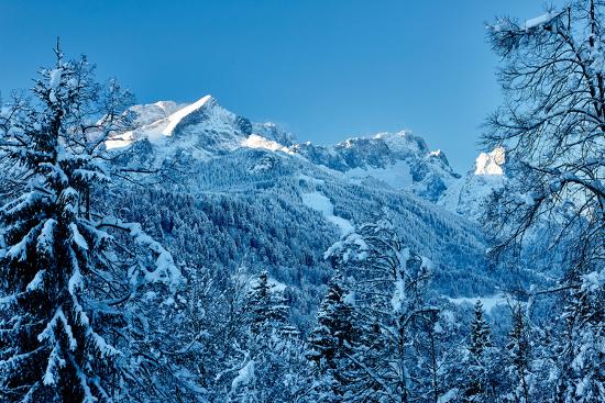 Premium Photographic Print, , large