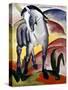 Marc: Grey Horse, 1911-Franz Marc-Stretched Canvas