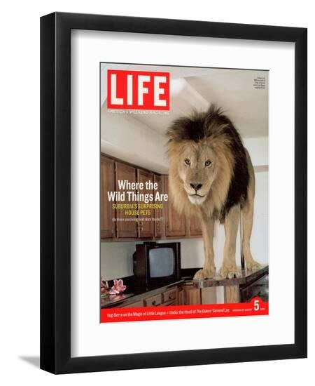 Photographic Print, , large