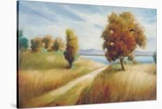 Path to the Beach-Marc Lucien-Stretched Canvas