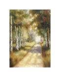 Sandy Footpath-Marc Lucien-Art Print