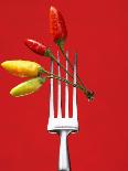 Mango Sorbet with Fresh Fruit on a Spoon-Marc O^ Finley-Photographic Print