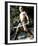 Marc Singer - The Beastmaster-null-Framed Photo