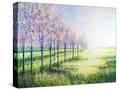 Stretched Canvas