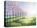 Stretched Canvas
