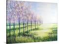 Stretched Canvas