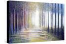 Stretched Canvas