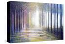 Stretched Canvas